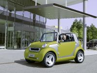 10 years of Smart (2008) - picture 1 of 11