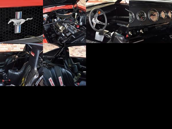 Shelby GT350 (1966) - picture 13 of 18