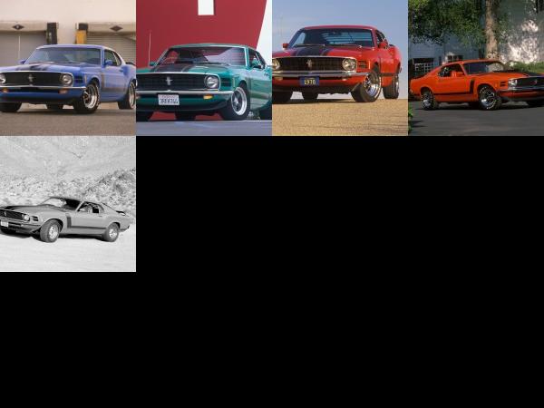 Ford Mustang Boss 302 (1970) - picture 1 of 5