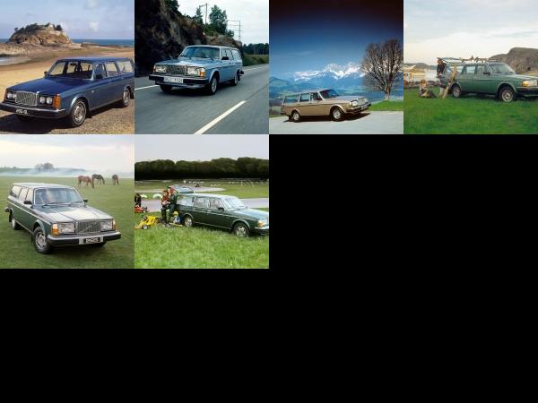 Volvo 265 (1975) - picture 1 of 6