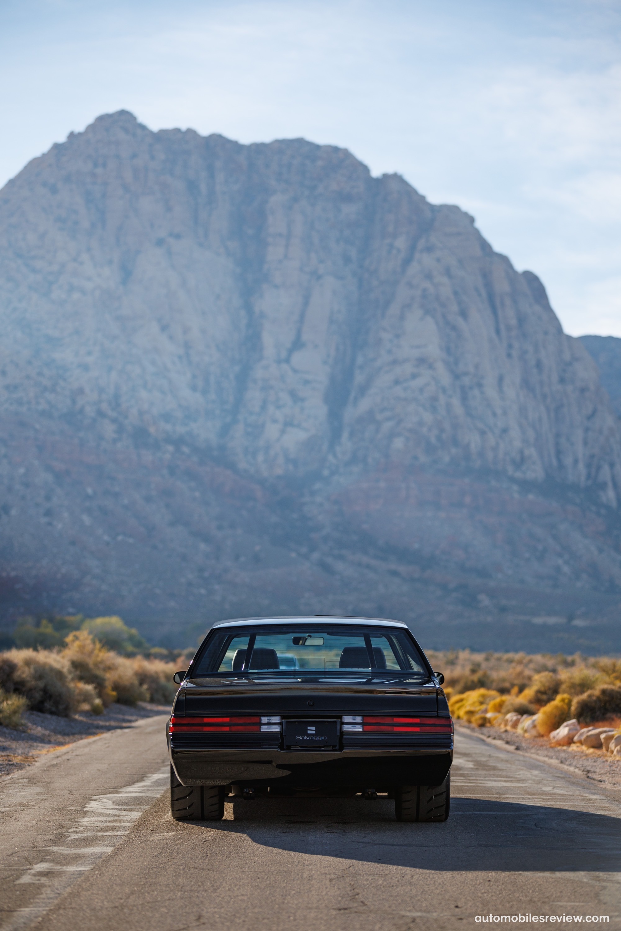 Buick Grand National