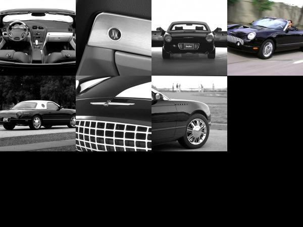 Ford Thunderbird Neiman Marcus Edition (2002) - picture 1 of 7