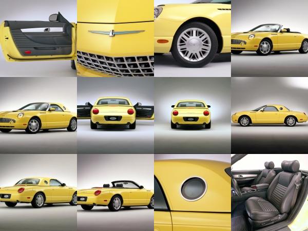 Ford Thunderbird (2002) - picture 25 of 47