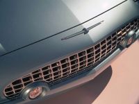 Ford Thunderbird (2002) - picture 1 of 47