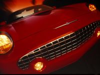 Ford Thunderbird (2002) - picture 3 of 47