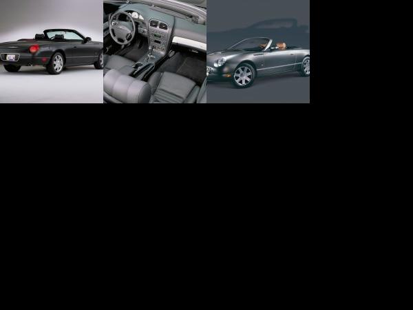 Ford Thunderbird (2003) - picture 1 of 3
