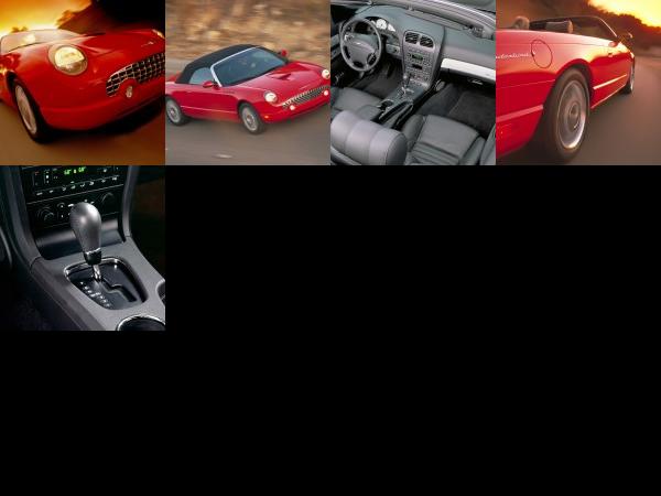 Ford Thunderbird (2004) - picture 1 of 5