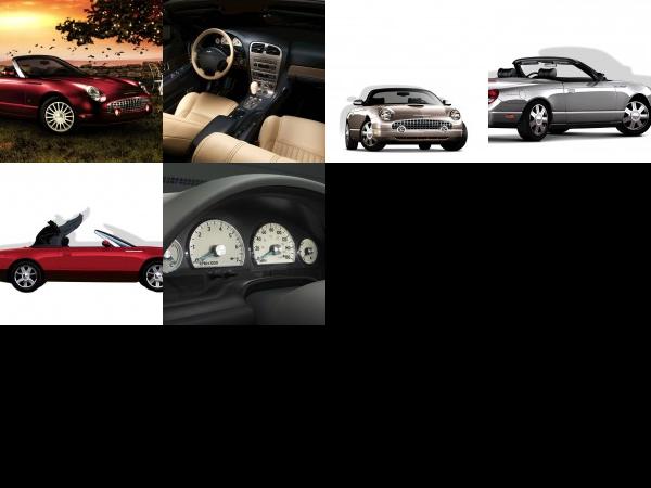 Ford Thunderbird (2005) - picture 1 of 6