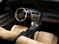 Ford Thunderbird (2005) - picture 2 of 6