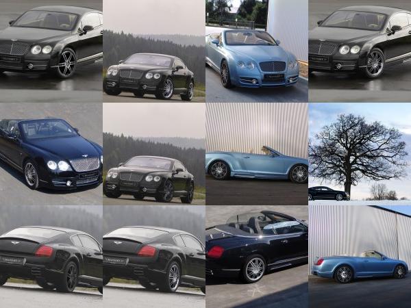 Mansory Bentley Continental GT (2005) - picture 1 of 25