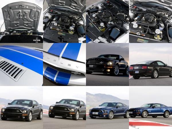 Ford Shelby GT500KR (2008) - picture 13 of 34