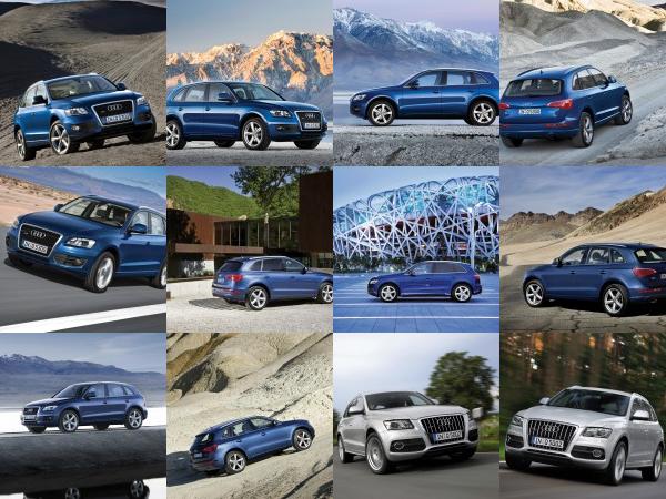 Audi Q5 (2009) - picture 1 of 21