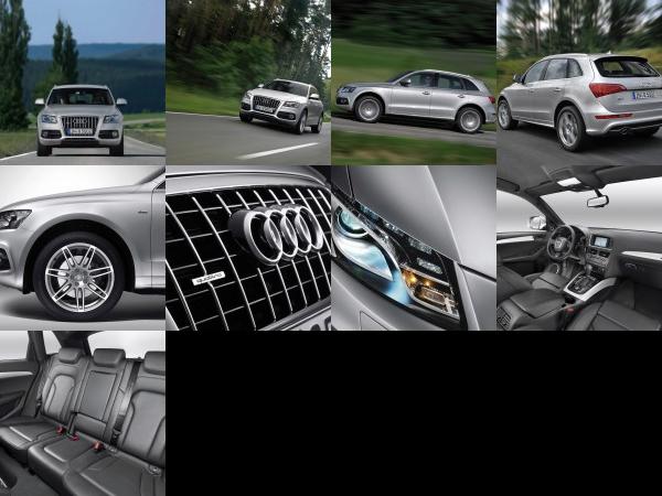Audi Q5 (2009) - picture 13 of 21