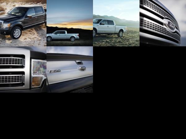 Ford F-150 (2009) - picture 13 of 18