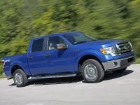 Ford F-150 (2009) - picture 7 of 18