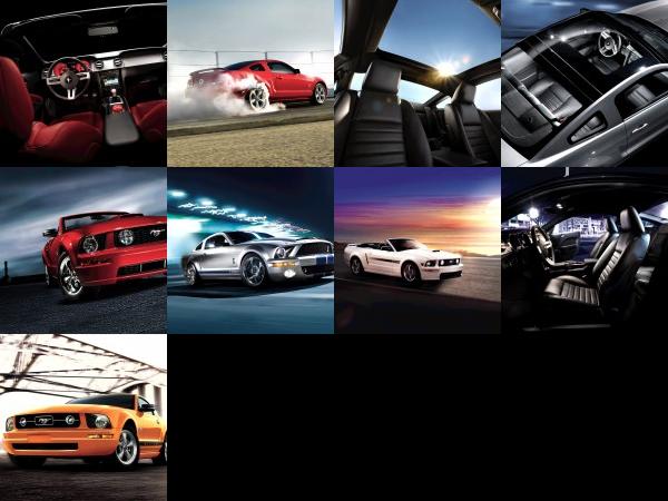 Ford Mustang (2009) - picture 1 of 9