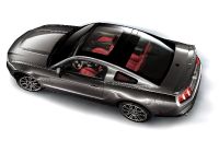 Ford Glass Roof Mustang (2010)