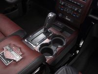 Ford Harley-Davidson F-150 (2010) - picture 8 of 17
