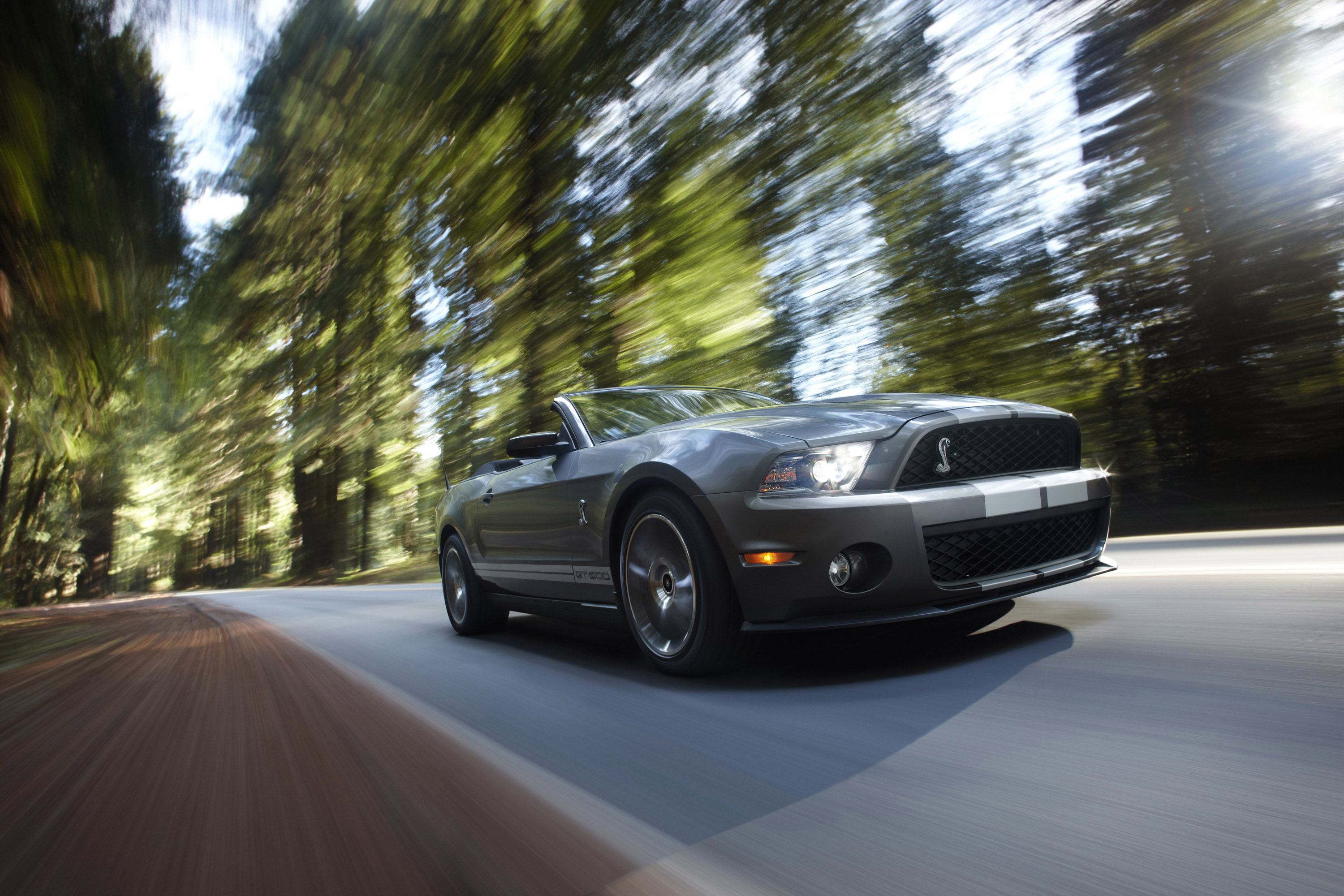 Ford Shelby GT500