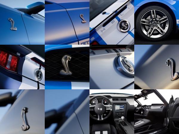 Ford Shelby GT500 (2010) - picture 49 of 68