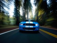 Ford Shelby GT500 (2010) - picture 1 of 68