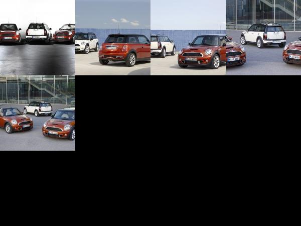 MINI Family (2010) - picture 1 of 5