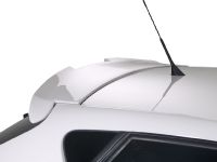 RDX Seat Ibiza (2010)