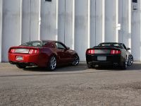 Saleen S281 Convertible (2010) - picture 7 of 9