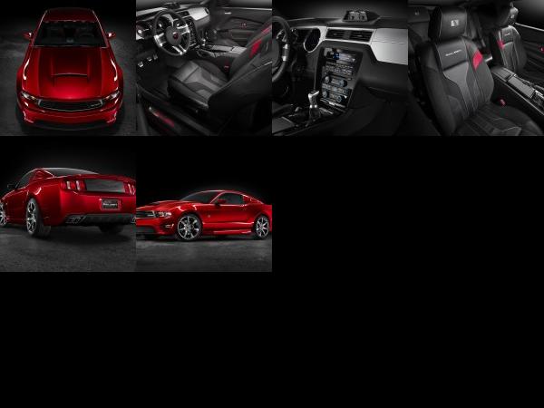 Saleen S281 (2010) - picture 1 of 6