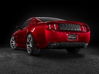 Saleen S281 (2010) - picture 5 of 6