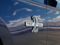 Shelby GT500 Super Snake (2010) - picture 3 of 21