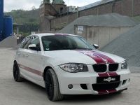 VOGTLAND show vehicles (2010)