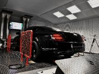 Wheelsandmore Bentley Ultrasports 702 (2010) - picture 3 of 9