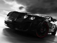 Wheelsandmore Bentley Ultrasports 702 (2010) - picture 4 of 9