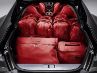 Aston Martin Rapide Luxe (2011) - picture 7 of 8
