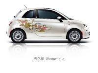 Fiat 500 First Edition (2011)