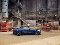 Ford Mustang RTR (2011) - picture 1 of 15