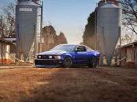 Ford Mustang RTR (2011) - picture 4 of 15