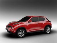 Nissan Juke (2011) - picture 8 of 23