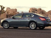 Nissan Maxima (2011) - picture 7 of 13