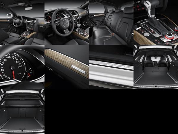 Audi A4 Allroad Quattro (2012) - picture 13 of 21