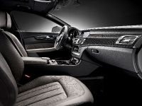 Mercedes-Benz CLS (2012) - picture 5 of 24