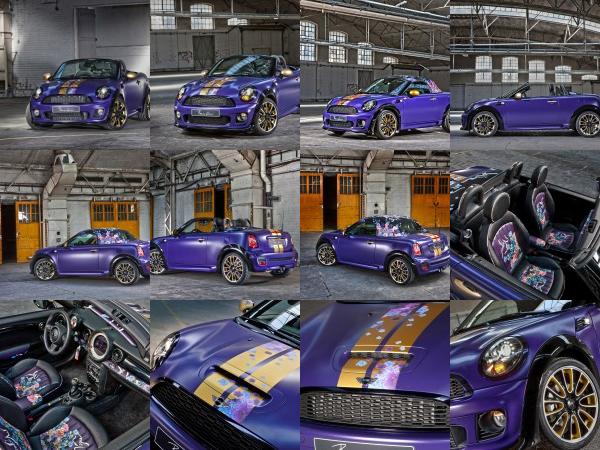 MINI Franca Sozzani MINI Roadster (2012) - picture 1 of 16