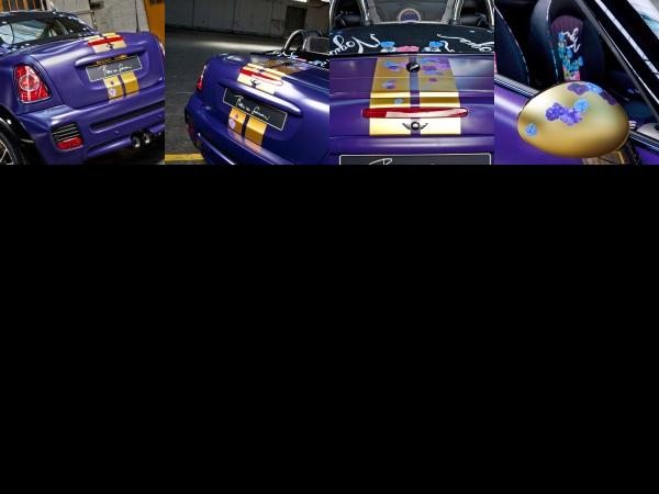 MINI Franca Sozzani MINI Roadster (2012) - picture 13 of 16