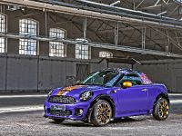 Franca Sozzani MINI Roadster (2012) - picture 3 of 16