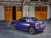 Franca Sozzani MINI Roadster (2012) - picture 7 of 16