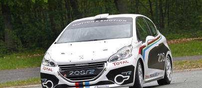 2012 Peugeot 208 R2