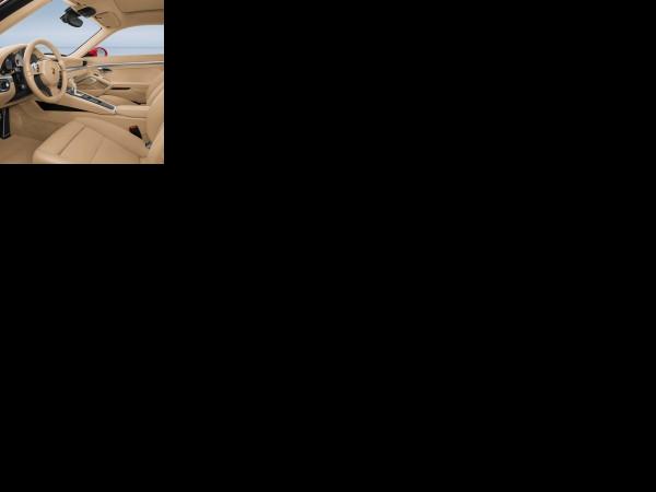 Porsche 911 Carrera (2012) - picture 13 of 13