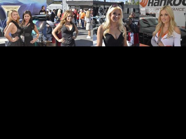 SEMA Show Girls (2012) - picture 13 of 16