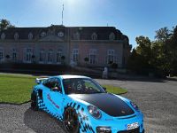 Wimmer RS Porsche GT2 RS (2012) - picture 4 of 14